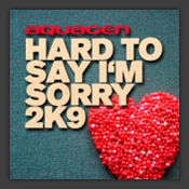 Hard To Say I'm Sorry 2k9