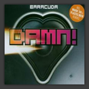 Damn! (Remember The Time)