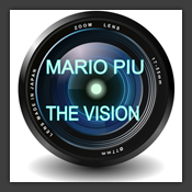 The Vision