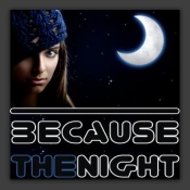 Because The Night