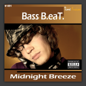 Midnight Breeze