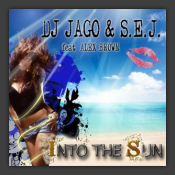 Into The Sun