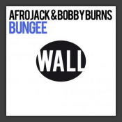 Bungee