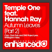 Autumn Leaves (Part 2)