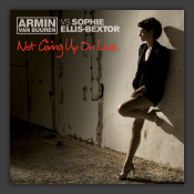 Not Giving Up On Love