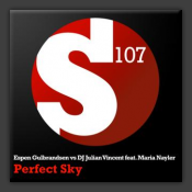 Perfect Sky