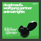 Animal Rights