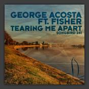 Tearing Me Apart