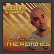 Never Fade Away - The Remixes