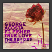 True Love (The Remixes)
