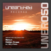 Hidden Dream