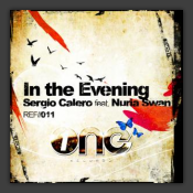 In The Evening