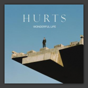 Wonderful Life
