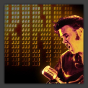 Suspicious Minds