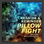 Pillowfight