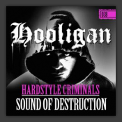 Sound Of Destruction