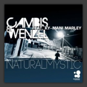 Natural Mystic
