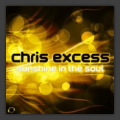 Sunshine In The Soul