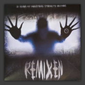 20 Years Of Industrial Strength Records Remixen
