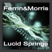 Lucid Springs