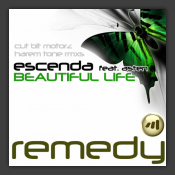 Beautiful Life