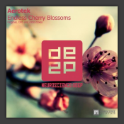 Endless Cherry Blossoms