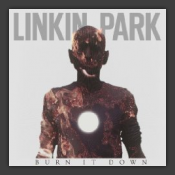 Burn It Down