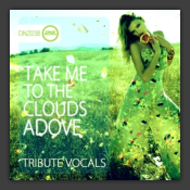 Take Me To The Clouds Above