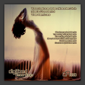 She's Wonderful The Remixes