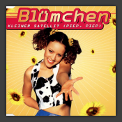 Kleiner Satellit (Piep, Piep)