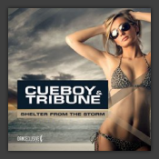 Shelter From The Storm