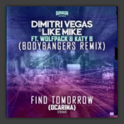 Find Tomorrow (Ocarina) (Bodybangers Remix)