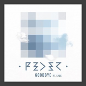 Goodbye