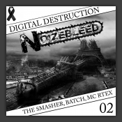 Didital Destruction