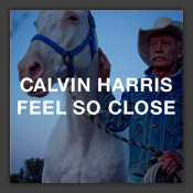 Feel So Close