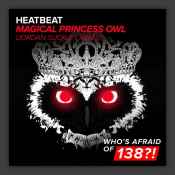 Magical Princess Owl