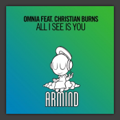 All I See Is You