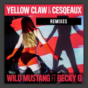 Wild Mustang