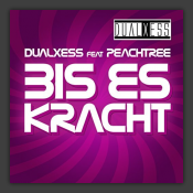 Bis Es Kracht
