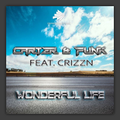 Wonderful Life