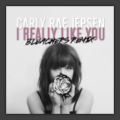 I Really Like You