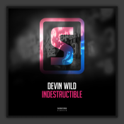 Indestructible