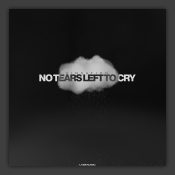 No Tears Left To Cry