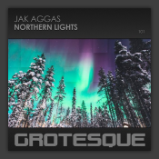 Northern Lights