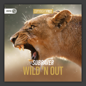 Wild 'N Out