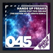 Never Stop This Feeling