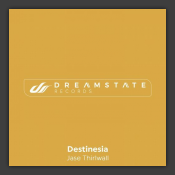 Destinesia