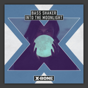 Into The Moonlight