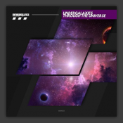 Through The Universe