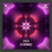 The Wormhole